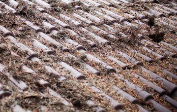 Sunhill roof cleaning companies